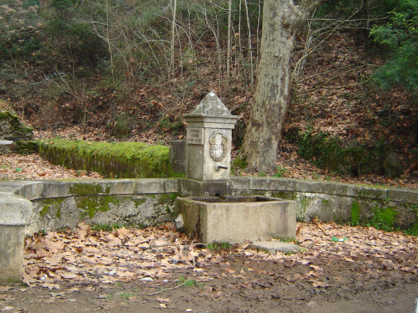 Fonte De Alvoco Das V Rzeas