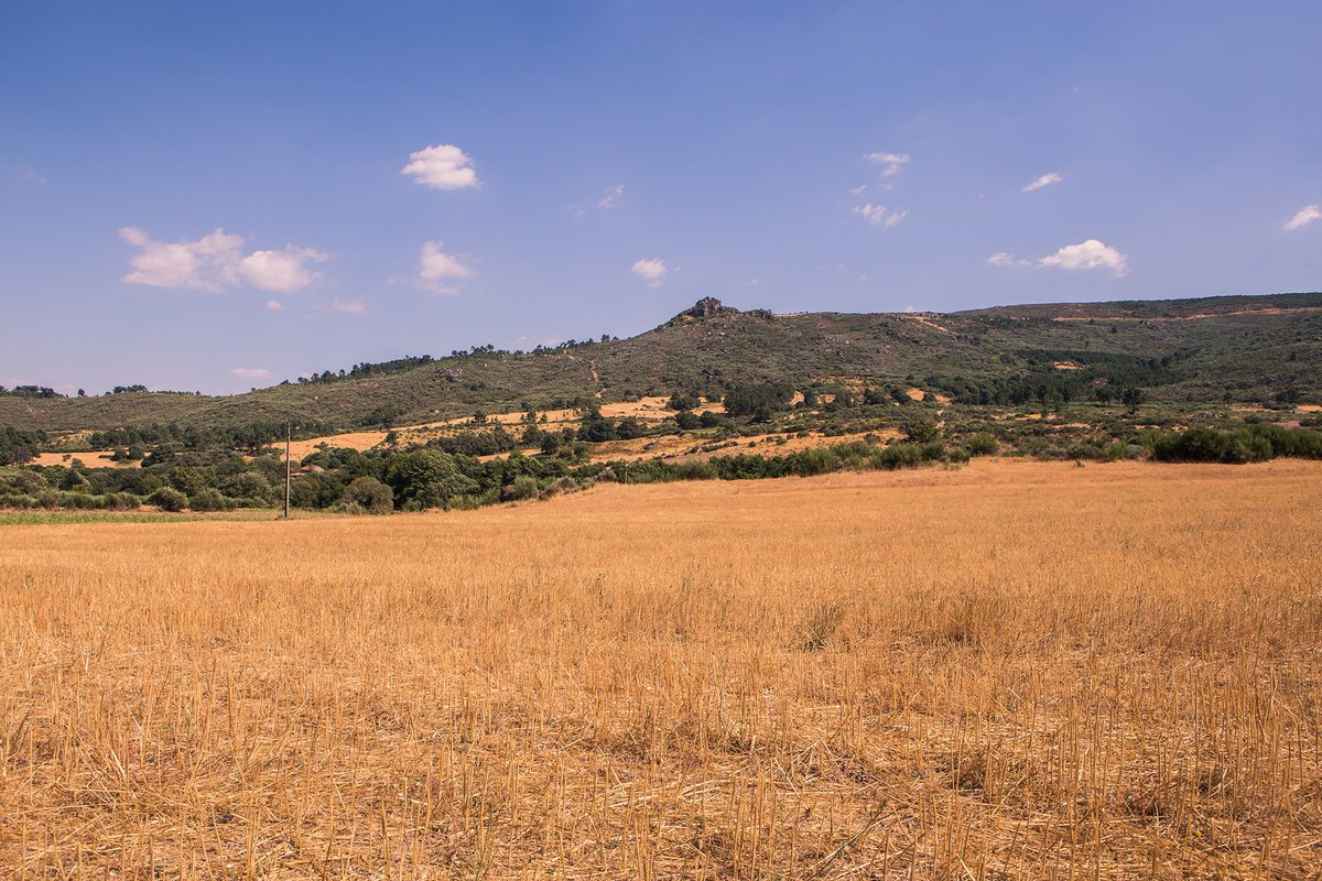 Penhas dos Prados