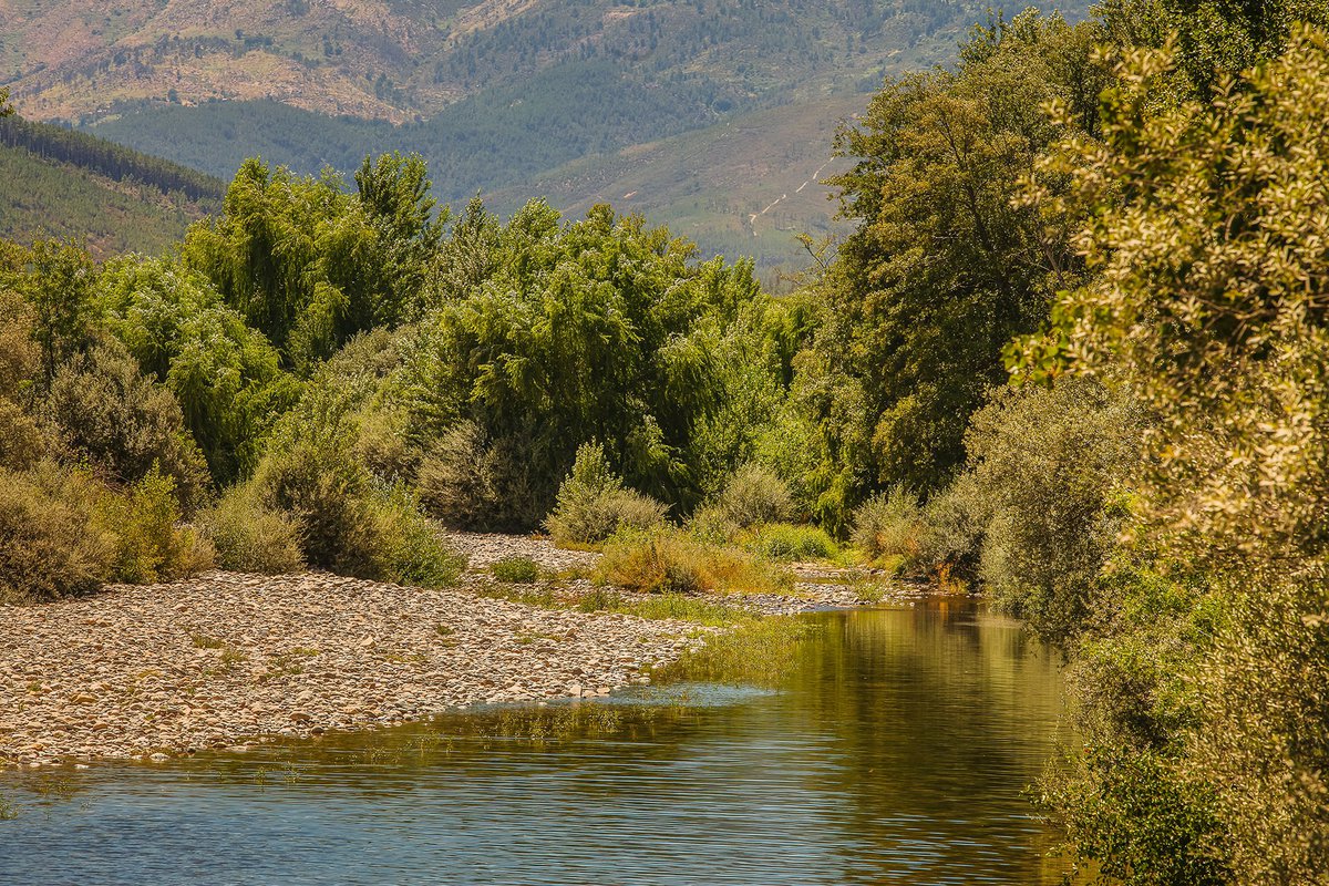 Rio Zêzere em Valhelhas